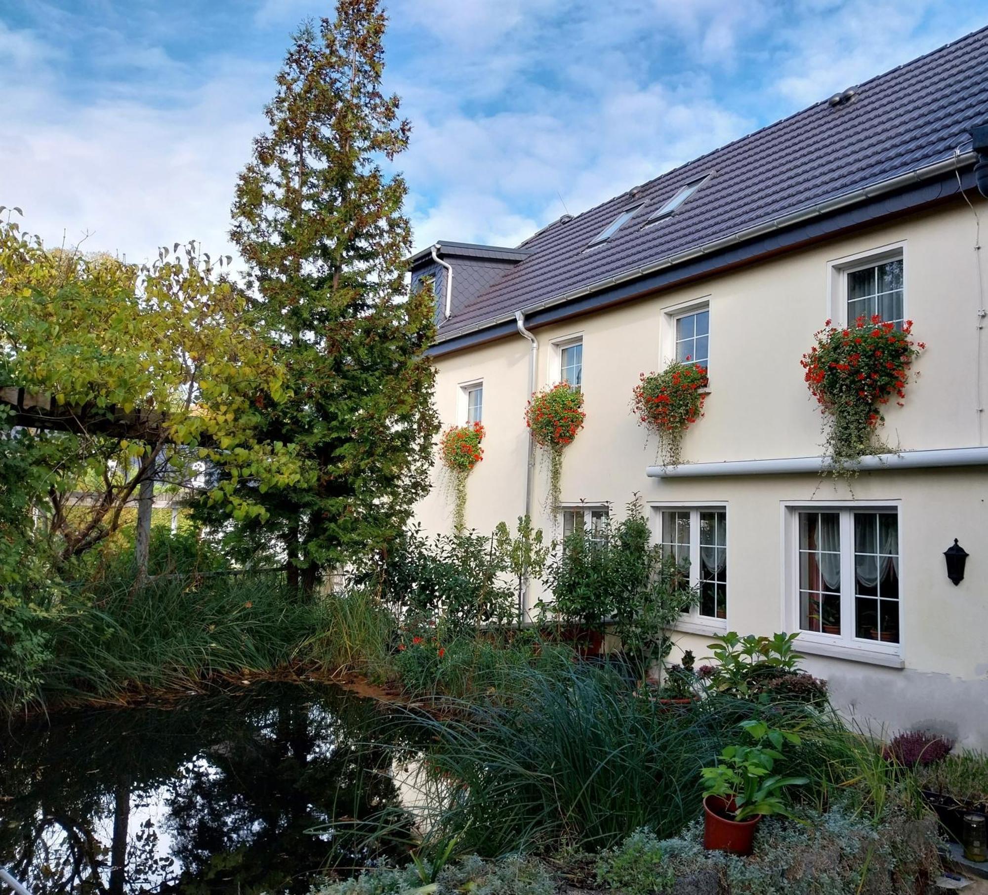 Ferienwohnung - Landhotel Waldschloesschen Sohland an der Spree Luaran gambar