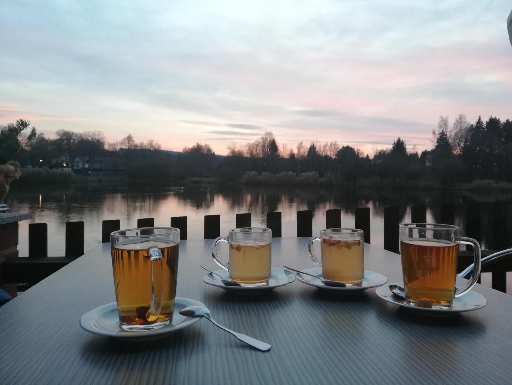 Ferienwohnung - Landhotel Waldschloesschen Sohland an der Spree Luaran gambar